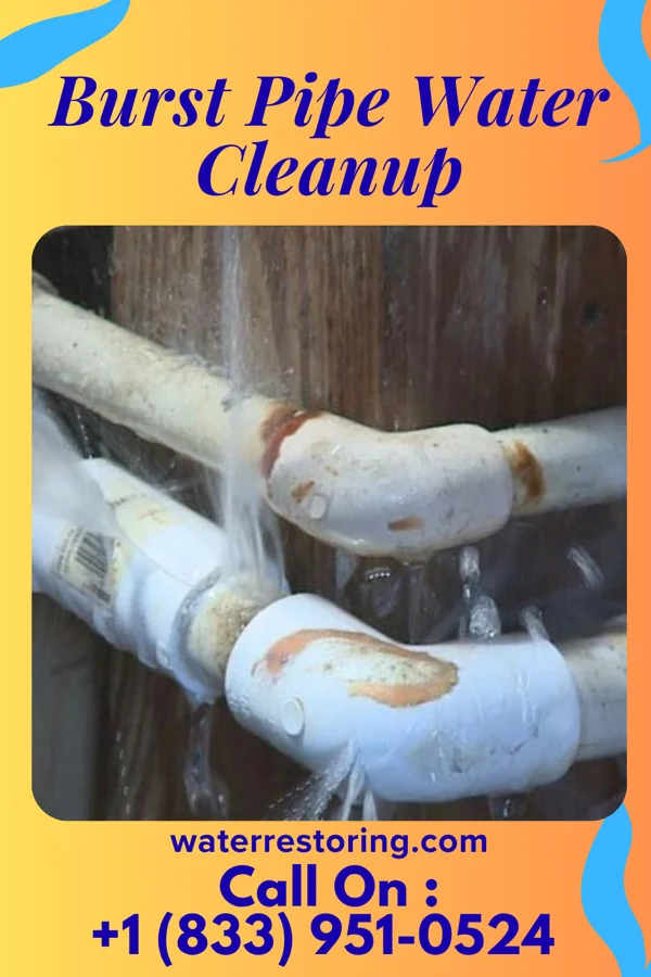 Burst Pipe Water Cleanup in Natoma, KS
