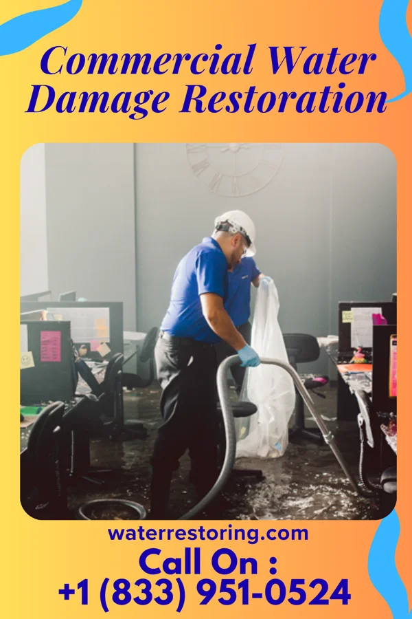 Commercial Water Damage Restoration in Natoma, KS