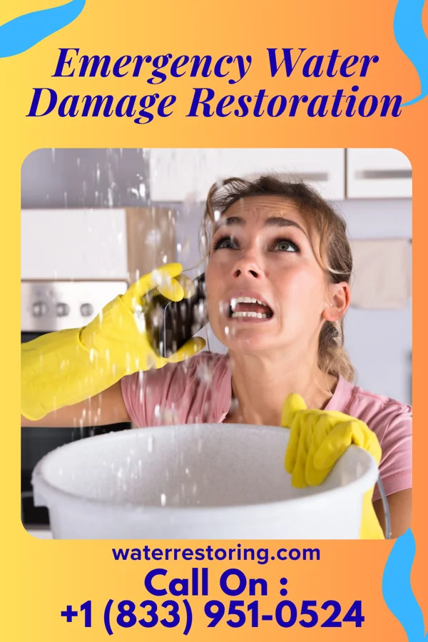Emergency Water Damage Restoration in Natoma, KS